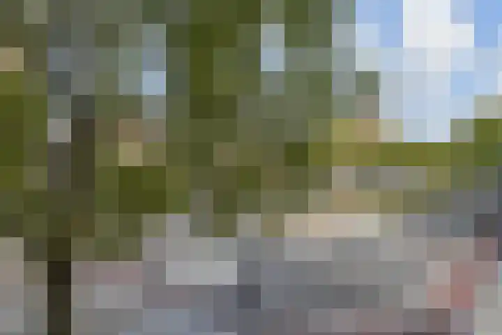 Goudsesingel 366 Rotterdam thumbnail 8