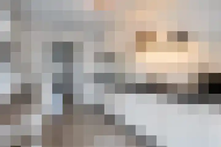 Goudseweg 165 Bodegraven thumbnail 20