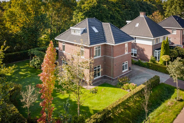 Goudveil 8 in Twello foto