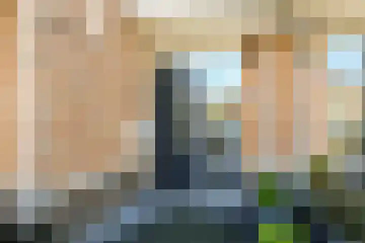 Goudvink 14 Olst thumbnail 10