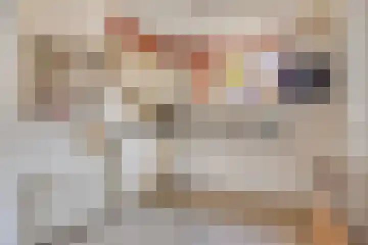 Goudvink 14 Olst thumbnail 12