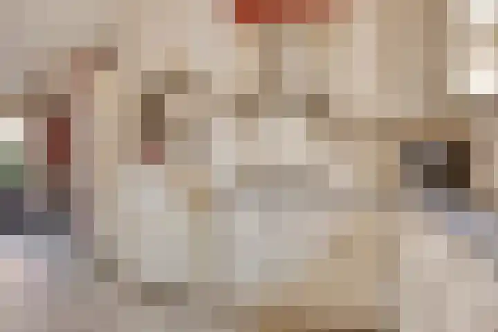 Goudvink 14 Olst thumbnail 13