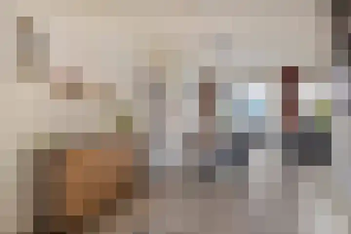 Goudvink 14 Olst thumbnail 14