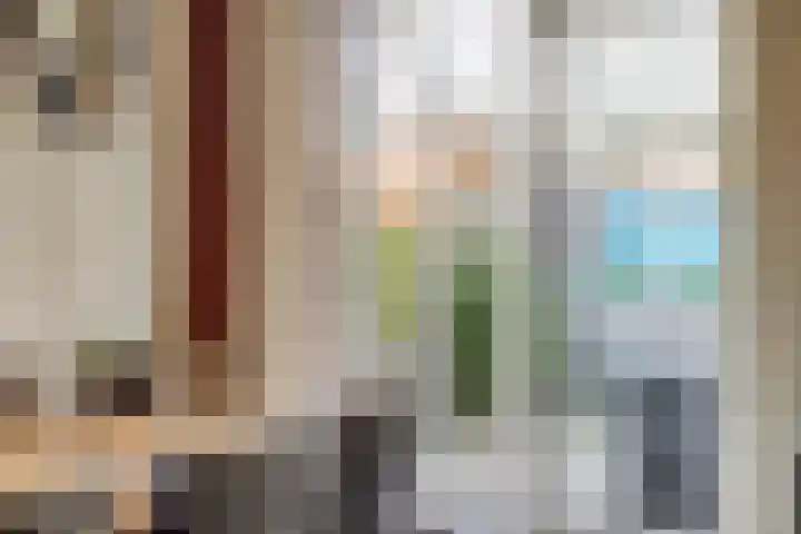 Goudvink 14 Olst thumbnail 15