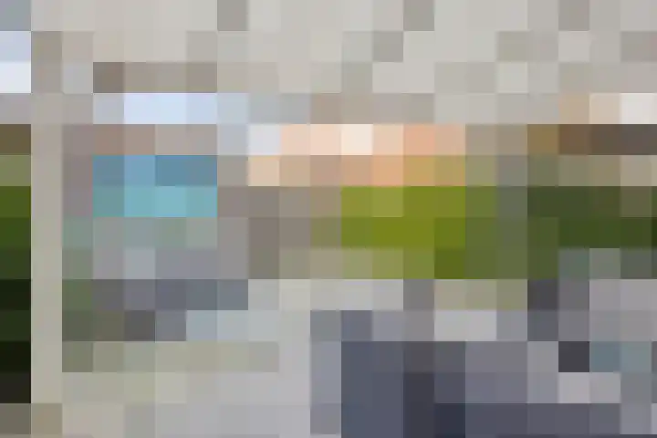 Goudvink 14 Olst thumbnail 16