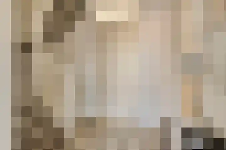 Goudvink 14 Olst thumbnail 17