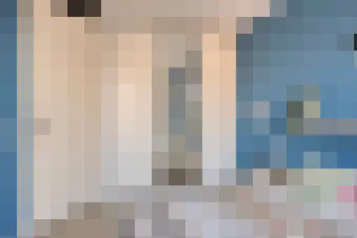 Goudvink 14 Olst thumbnail 19