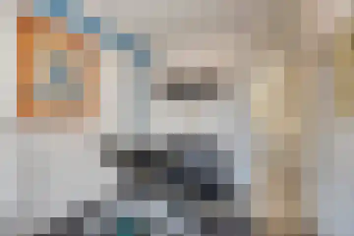 Goudvink 14 Olst thumbnail 23