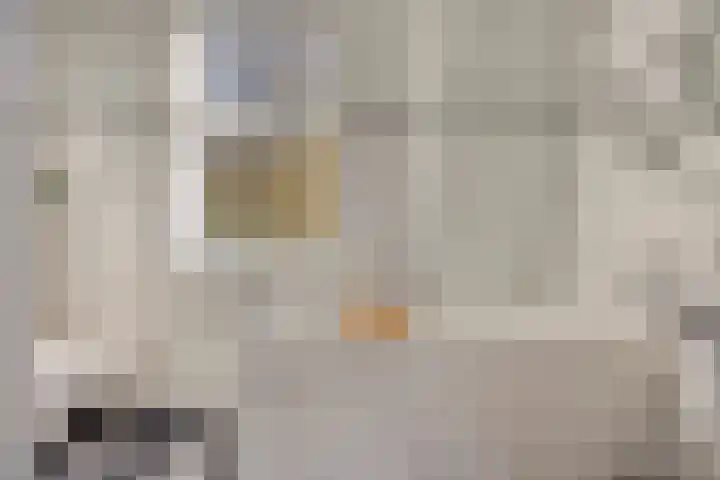 Goudvink 14 Olst thumbnail 24