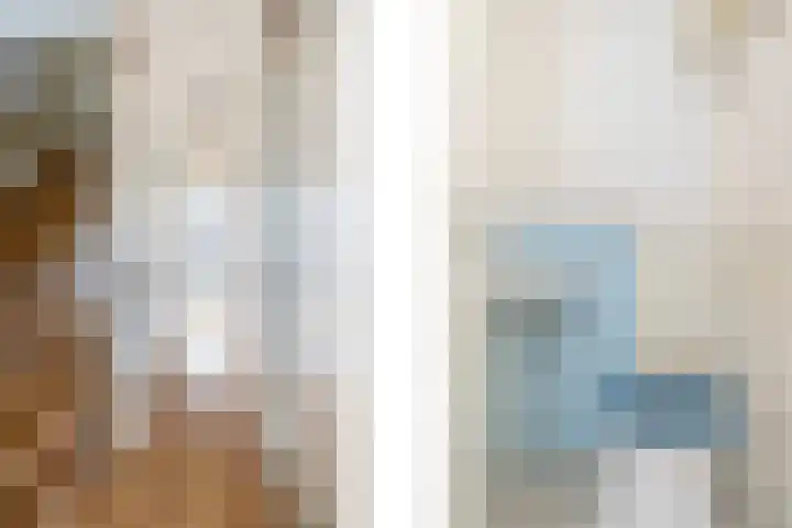 Goudvink 14 Olst thumbnail 25
