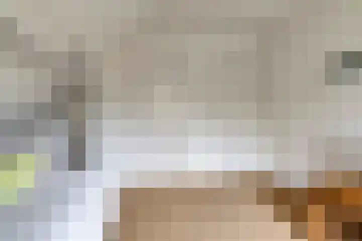 Goudvink 14 Olst thumbnail 26