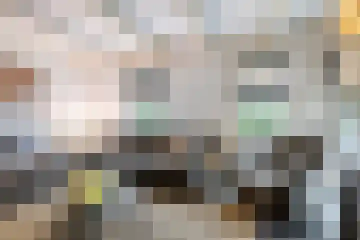 Goudvink 14 Olst thumbnail 27
