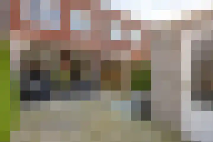 Goudvink 14 Olst thumbnail 28