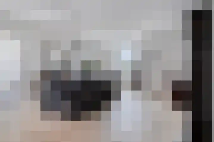 Goudvink 14 Olst thumbnail 30