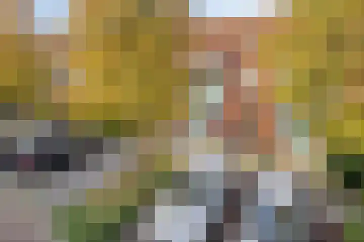 Goudvink 14 Olst thumbnail 31