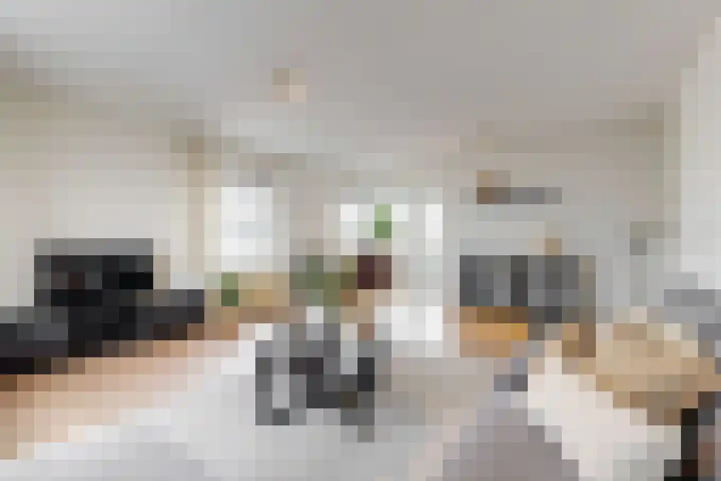 Goudvink 14 Olst thumbnail 32