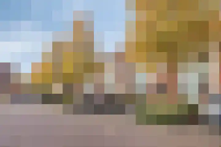 Goudvink 14 Olst thumbnail 32