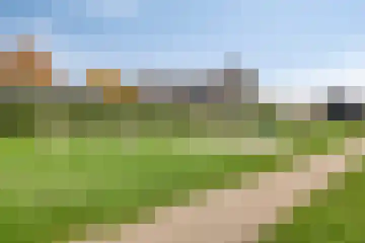 Goudvink 14 Olst thumbnail 33