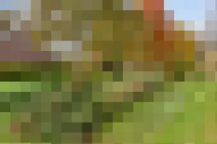 Goudvink 14 Olst thumbnail 34
