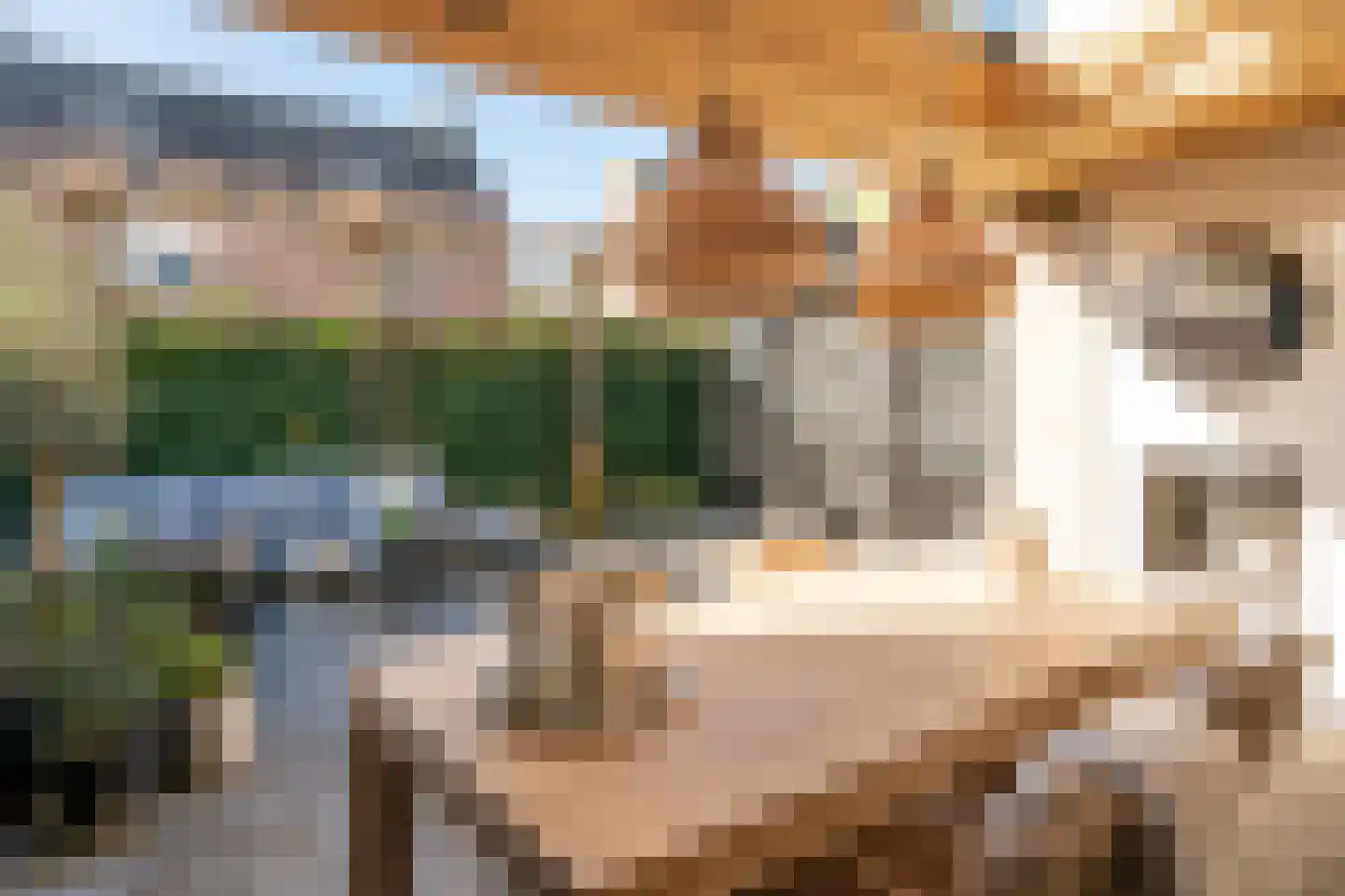 Goudvink 14 Olst thumbnail 36