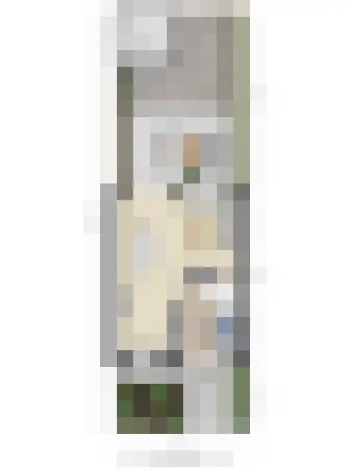 Goudvink 14 Olst thumbnail 39