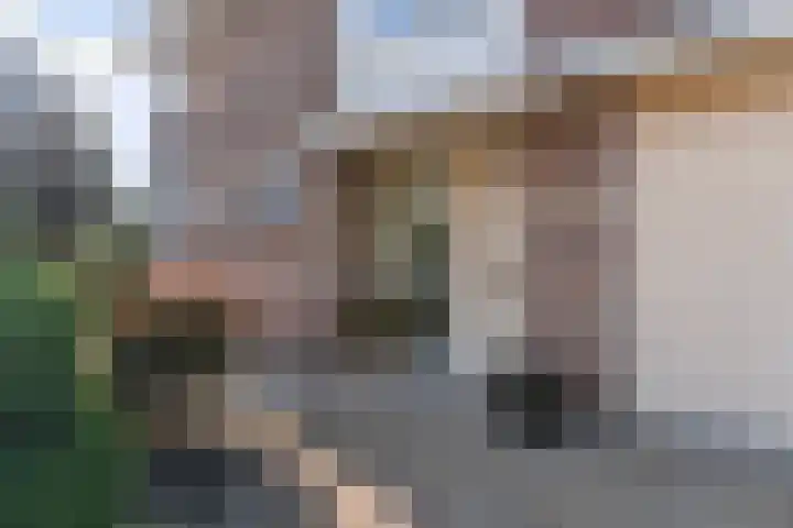 Goudvink 14 Olst thumbnail 4