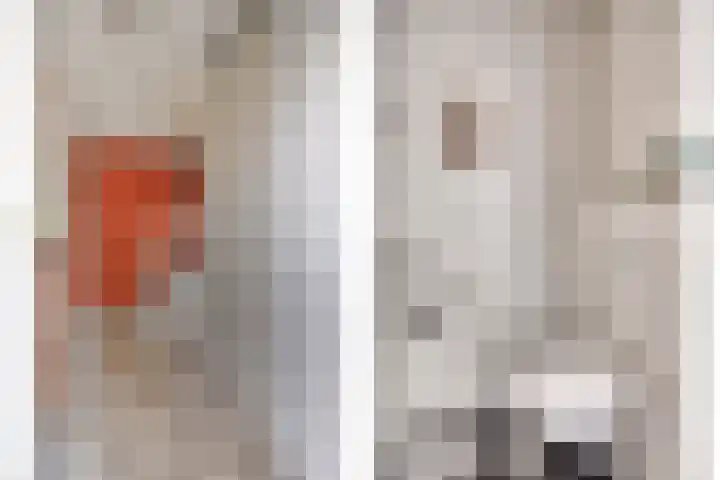 Goudvink 14 Olst thumbnail 4