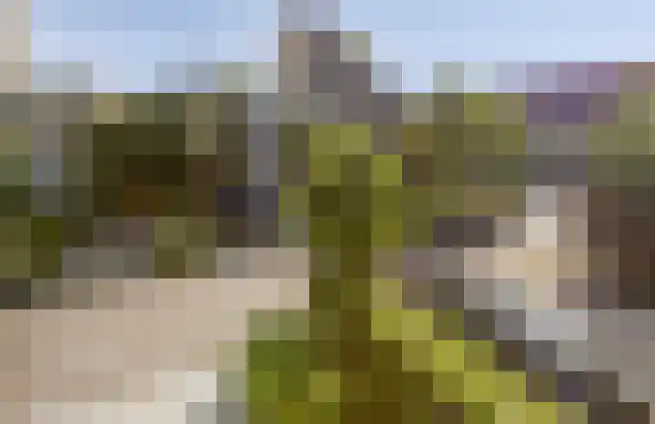 Goudvink 30 Soest thumbnail 30