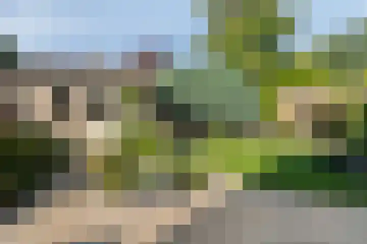 Goudvink 30 Soest thumbnail 47