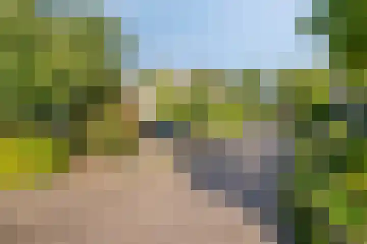 Goudvink 30 Soest thumbnail 49