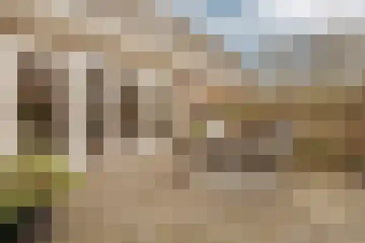 Goudvink 8 Heemskerk thumbnail 12