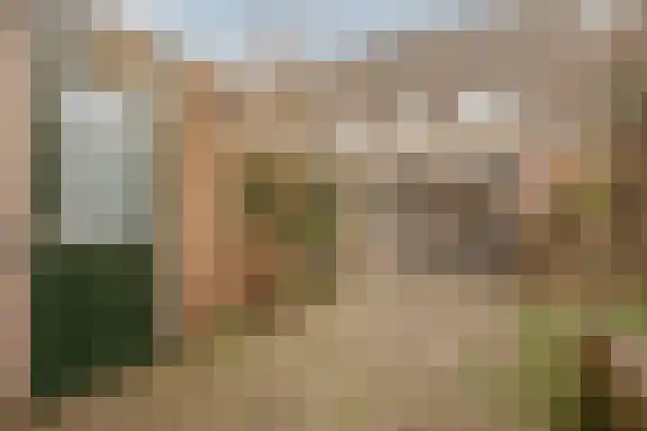 Goudvink 8 Heemskerk thumbnail 13