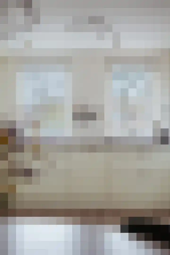 Goudvink 8 Heemskerk thumbnail 18