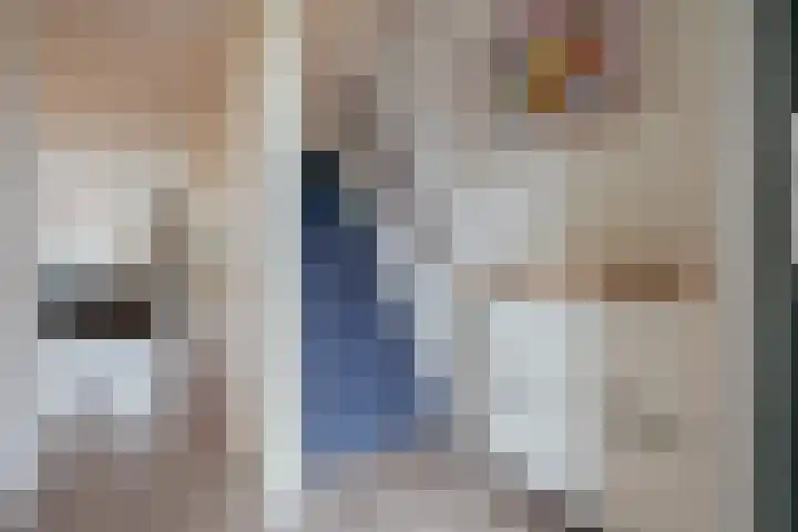 Goudvink 8 Heemskerk thumbnail 21