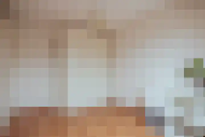Goudvink 8 Heemskerk thumbnail 25