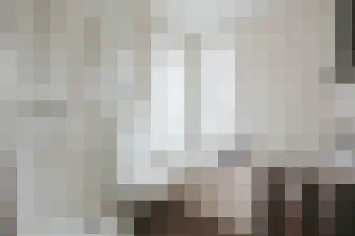 Goudvink 8 Heemskerk thumbnail 26