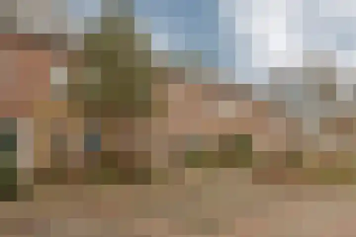 Goudvink 8 Heemskerk thumbnail 35