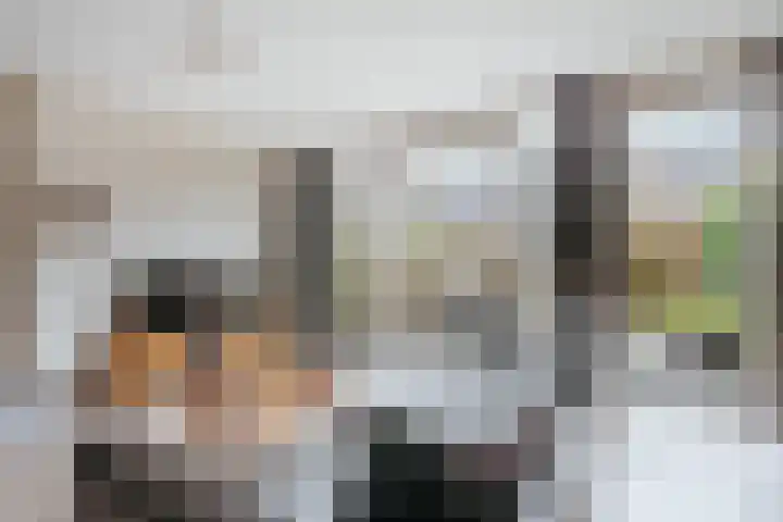 Goudvink 8 Heemskerk thumbnail 6