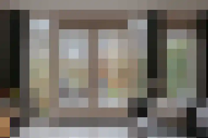 Goudvink 8 Heemskerk thumbnail 8
