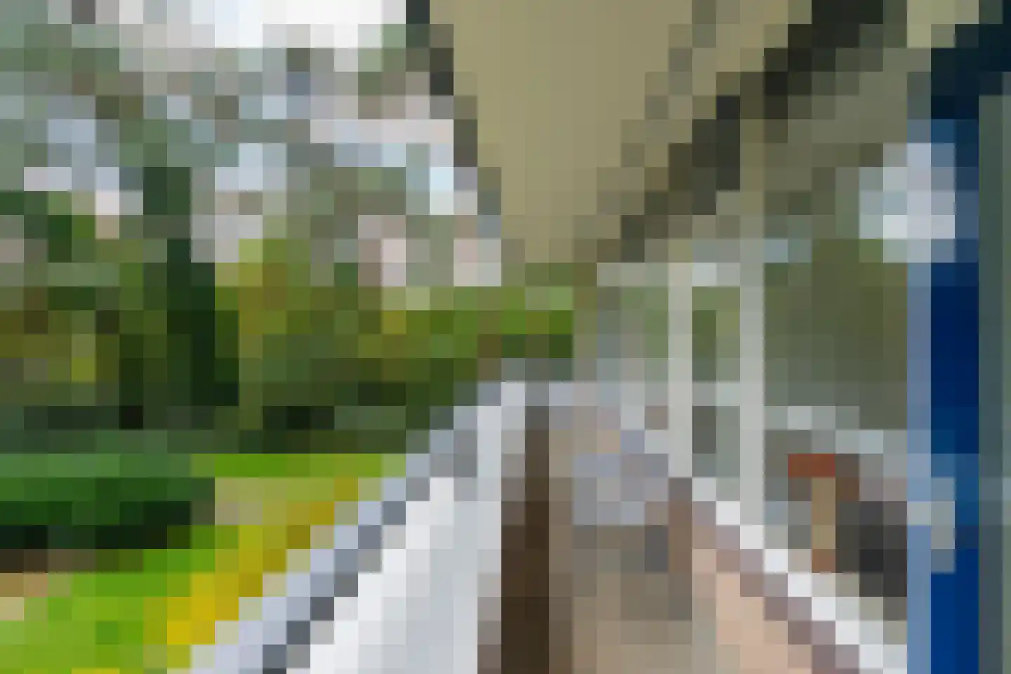 Goudvinklaan 2 Bilthoven thumbnail 19
