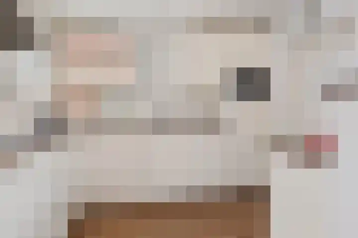 Gouverneurstraat 21 Appingedam thumbnail 16