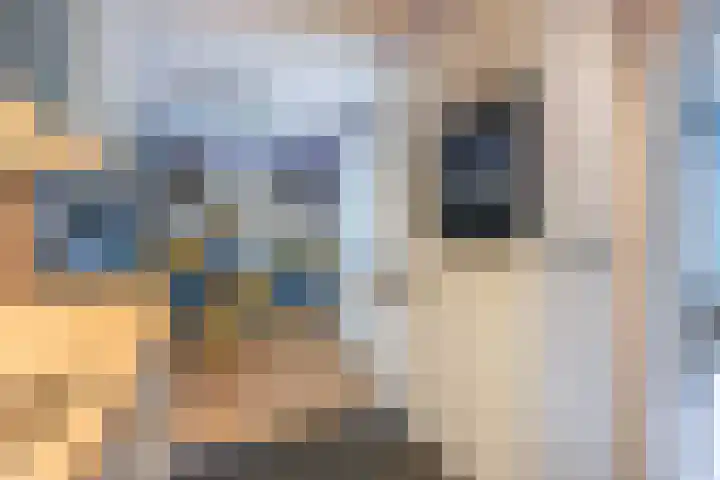 Gouw 43 Winsum thumbnail 16