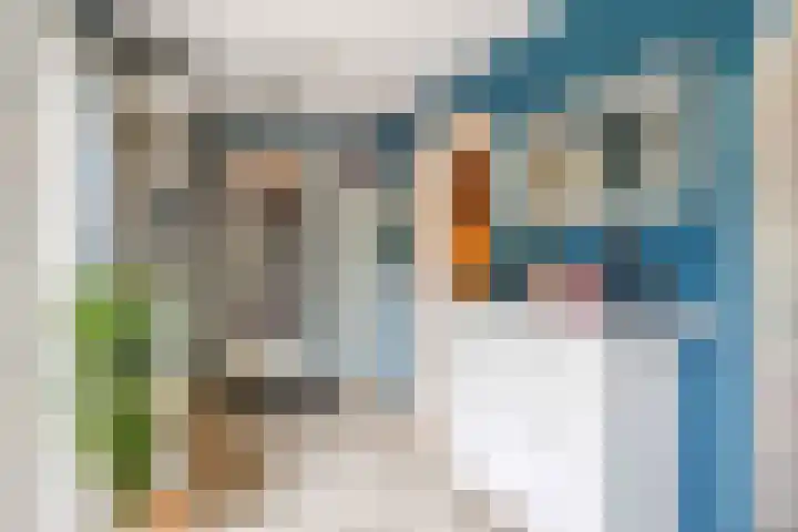 Gouw 43 Winsum thumbnail 19