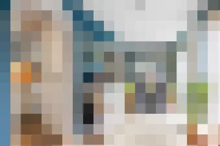 Gouw 43 Winsum thumbnail 20