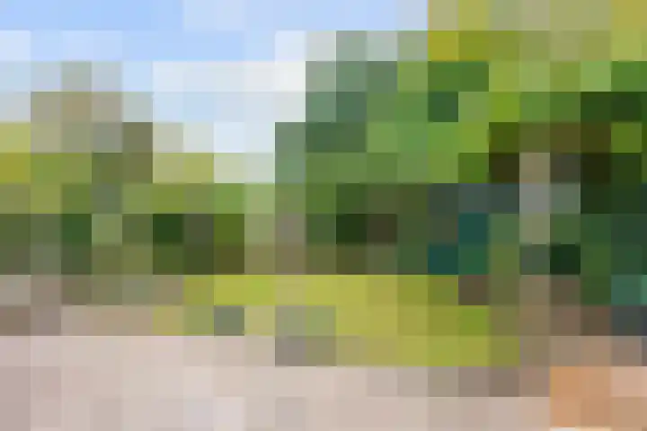 Gouw 43 Winsum thumbnail 35