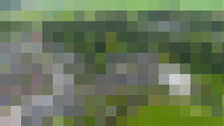 Gouw 43 Winsum thumbnail 44