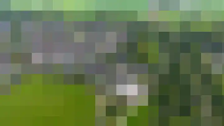 Gouw 43 Winsum thumbnail 45