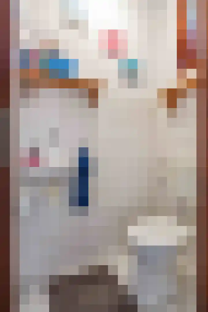 Gouw 43 Winsum thumbnail 6
