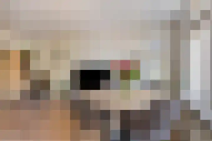 Gouw 56 B Purmerend thumbnail 8