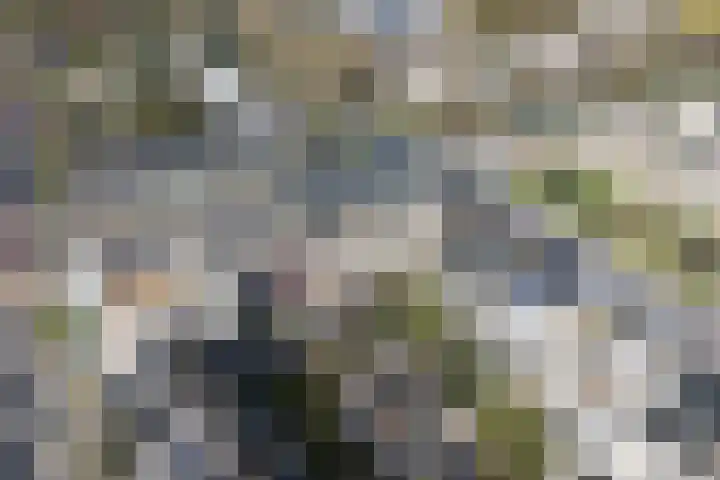 Gouwe 8 Barendrecht thumbnail 35